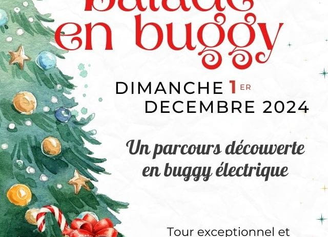 Image Noël au Château – Balade en buggy