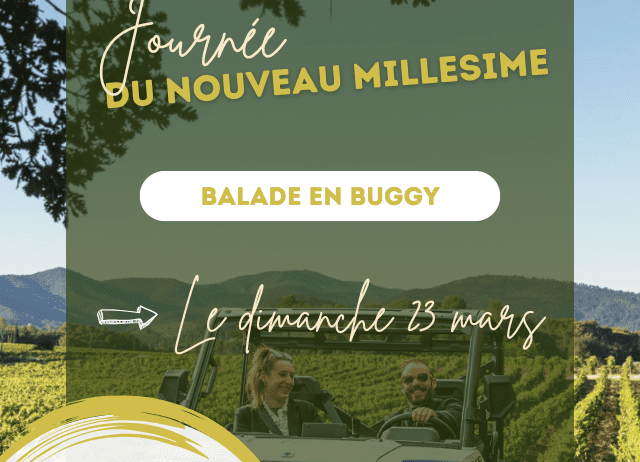 Image Journée du Nouveau Millésime : balade en buggy